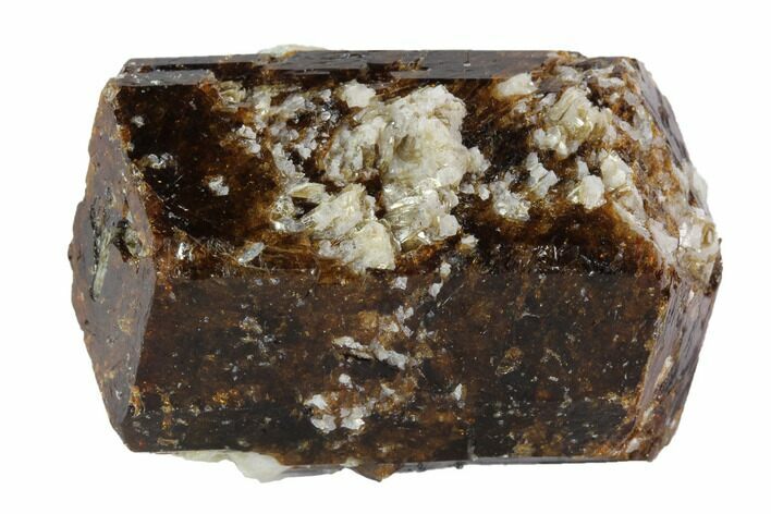Brown Dravite Tourmaline Crystal - Western Australia #95413